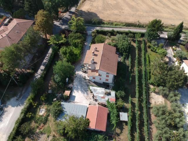 B&B La Mimosa Spello Extérieur photo