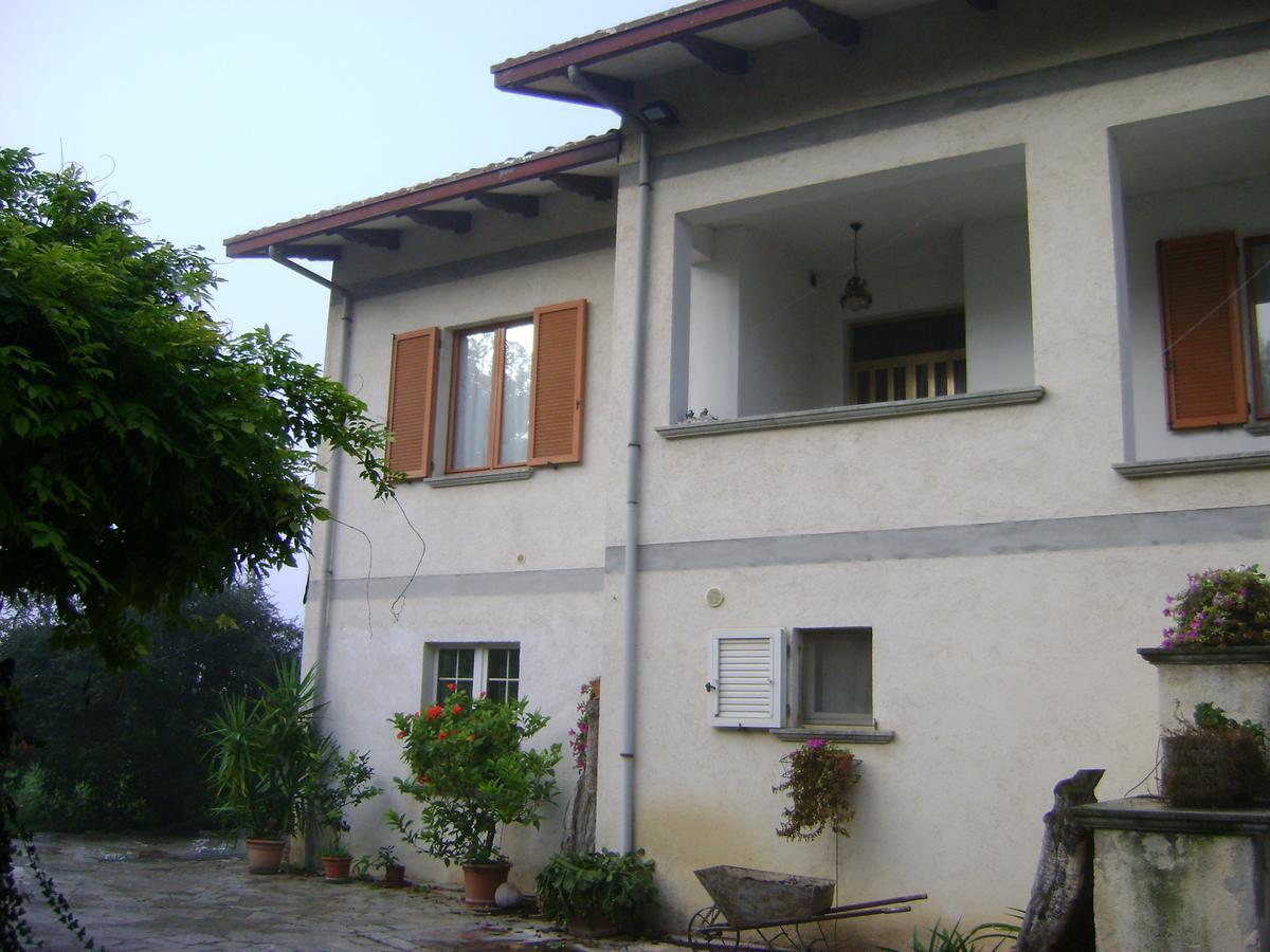 B&B La Mimosa Spello Extérieur photo