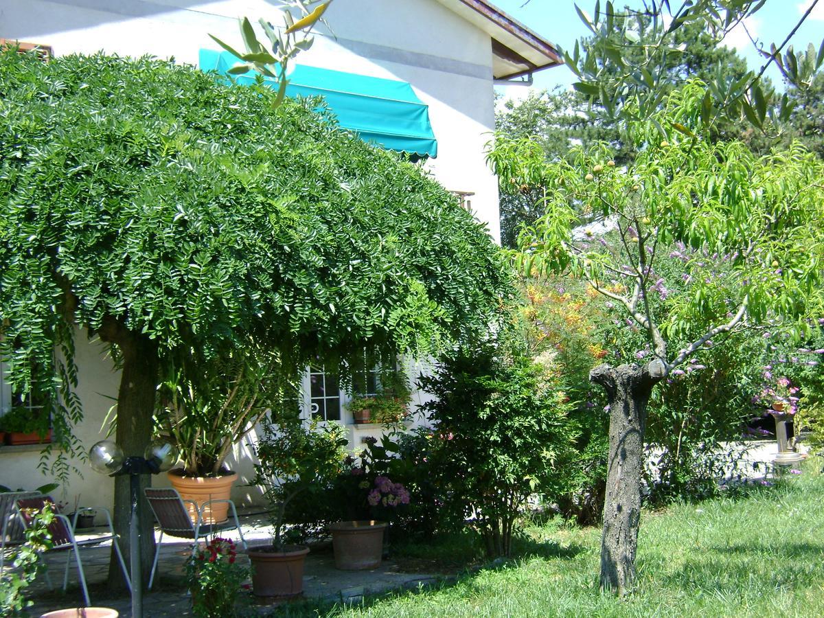 B&B La Mimosa Spello Extérieur photo